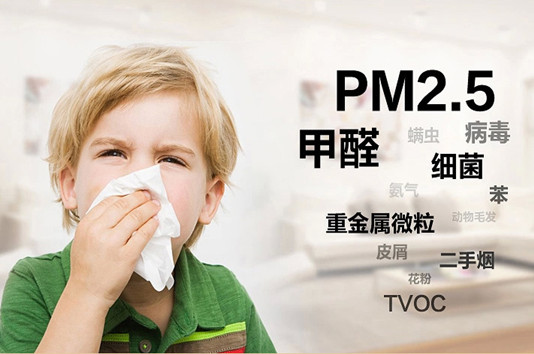 PM2.5環(huán)境污染無(wú)線(xiàn)遠(yuǎn)程測(cè)控實(shí)時(shí)監(jiān)測(cè)